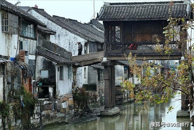 青海门源：一农户三年两次遭遇荒漠猫“入户吃鸡”